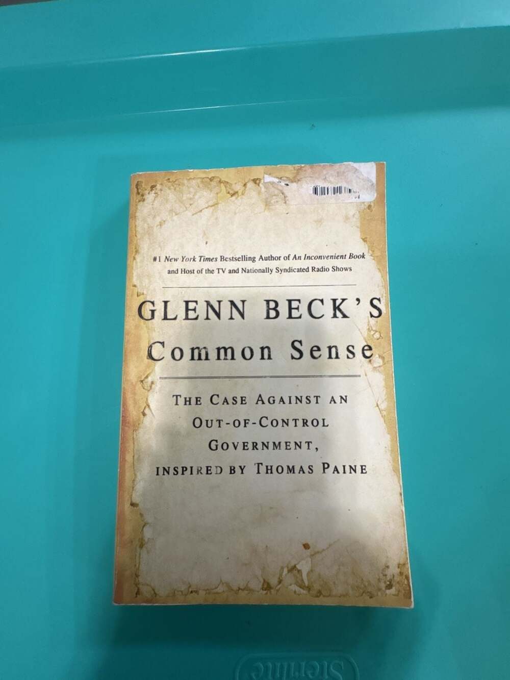 Glenn Beck's Common Sense: The Case Against an Out-of-Control Government